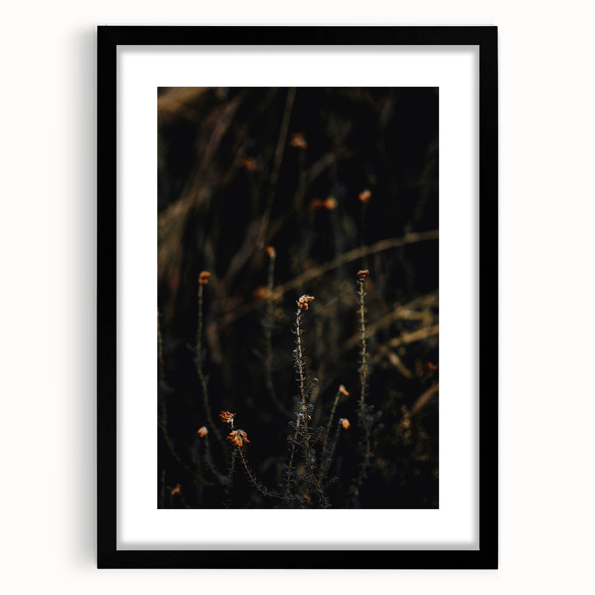 Extra large abstract art print of colorful, textured fall foliage on a black framed canvas, ideal for living room decor.