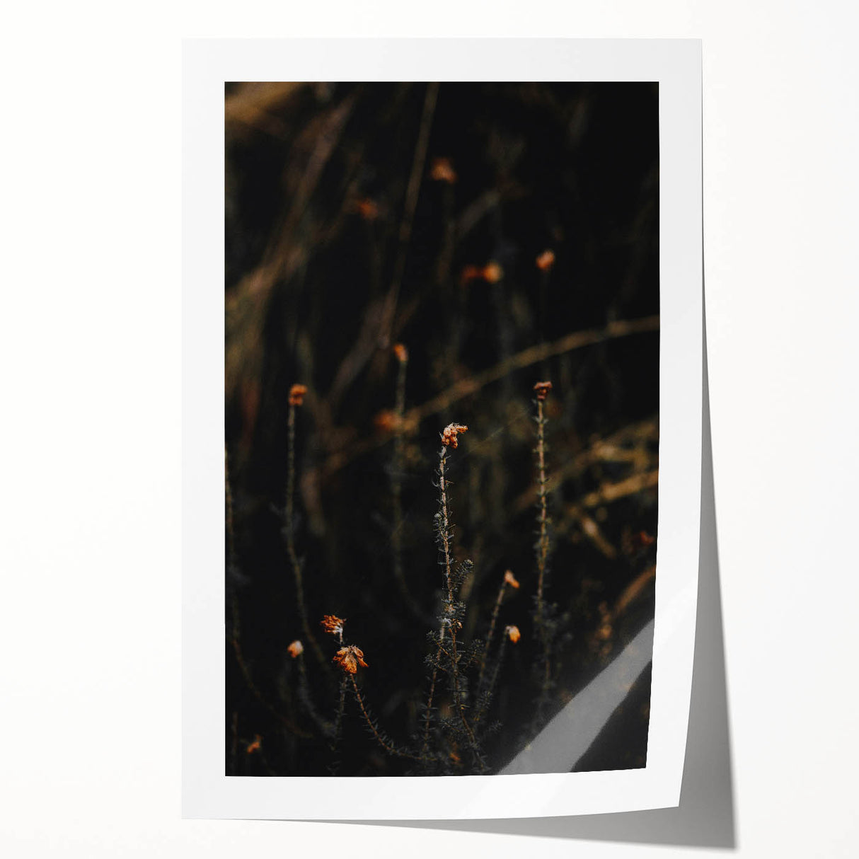 Extra large rolled print featuring a floral design in autumn hues, ideal for art wall dining room or classy bathroom decor.
