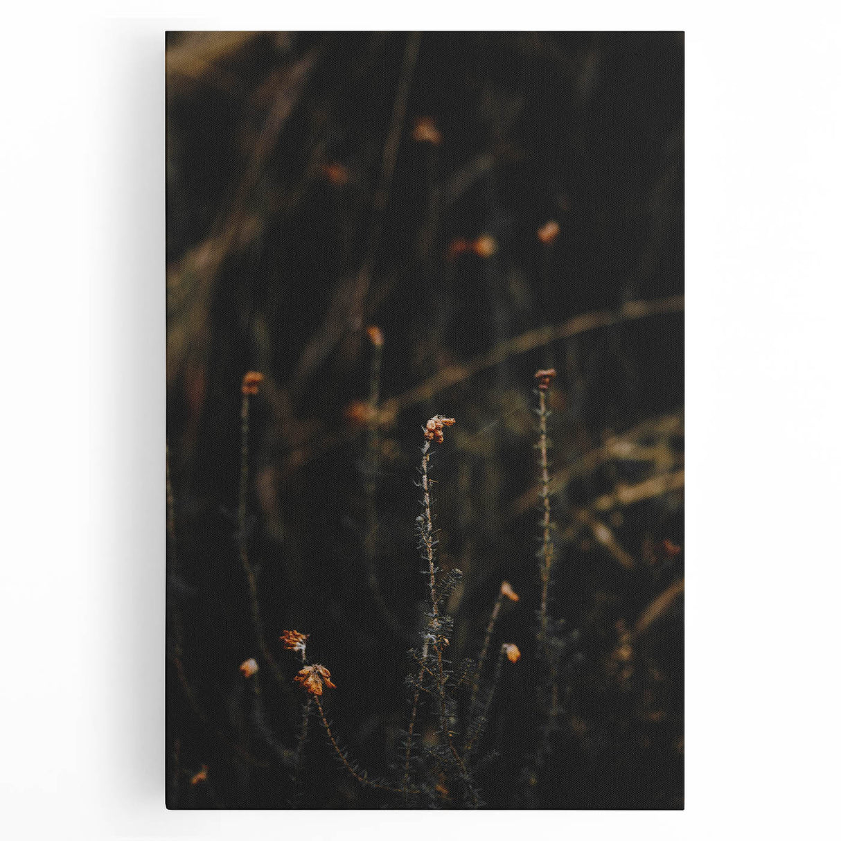 Large black and white stretched canvas of a tree in fall, ideal for kitchen wall art.