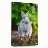 Large abstract wall art on acrylic glass, featuring swirling pastel hues, ideal for modern bedroom or dining room decor.