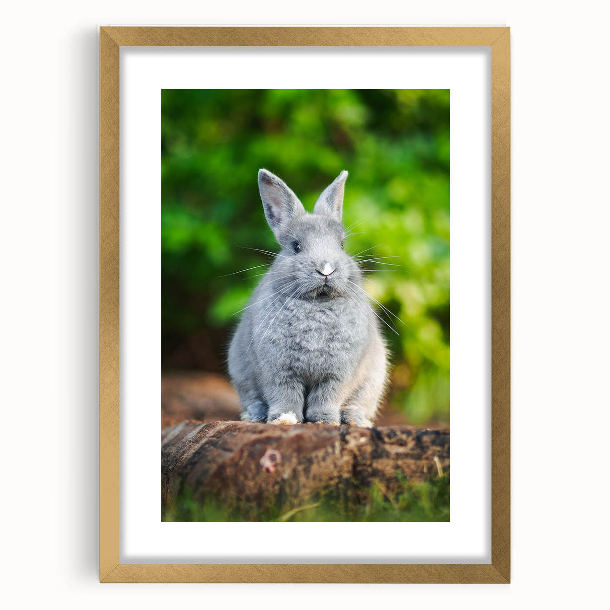 Extra large abstract art print in textured style, featuring vibrant spring hues on a framed canvas.