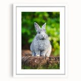 Abstract art print featuring swirling patterns in pastel pink and green, framed in white.