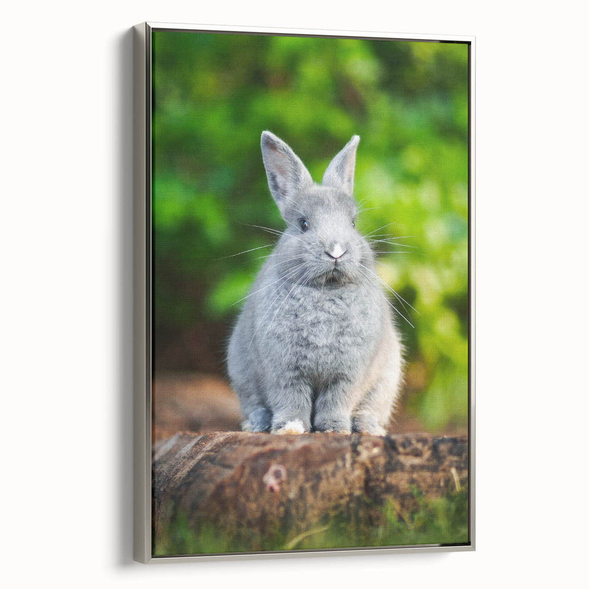 Framed canvas featuring a vintage landscape art painting of spring, with colorful flowers against a black background.