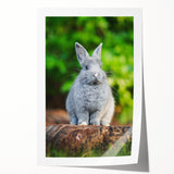 Extra large rolled print featuring a spring floral design in pastel shades, suitable for dining room or bathroom wall art.