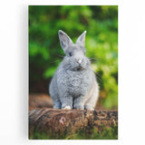 Large black and white stretched canvas featuring a minimalist spring tree design, ideal for kitchen wall art.