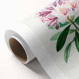 Neoclassical Art Prints: Rhododendron Ponticum by Pierre-Joseph Redouté