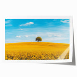 Rolled print showcasing a serene countryside landscape with lush green fields and a vibrant sunset, elegantly packaged in a protective cardboard tube for safe shipping.