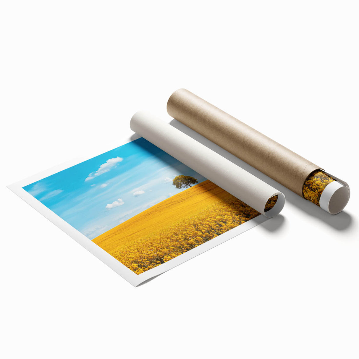 Rolled print of a serene countryside landscape showcasing rolling hills, vibrant green fields, and a clear blue sky, packaged securely for safe delivery.