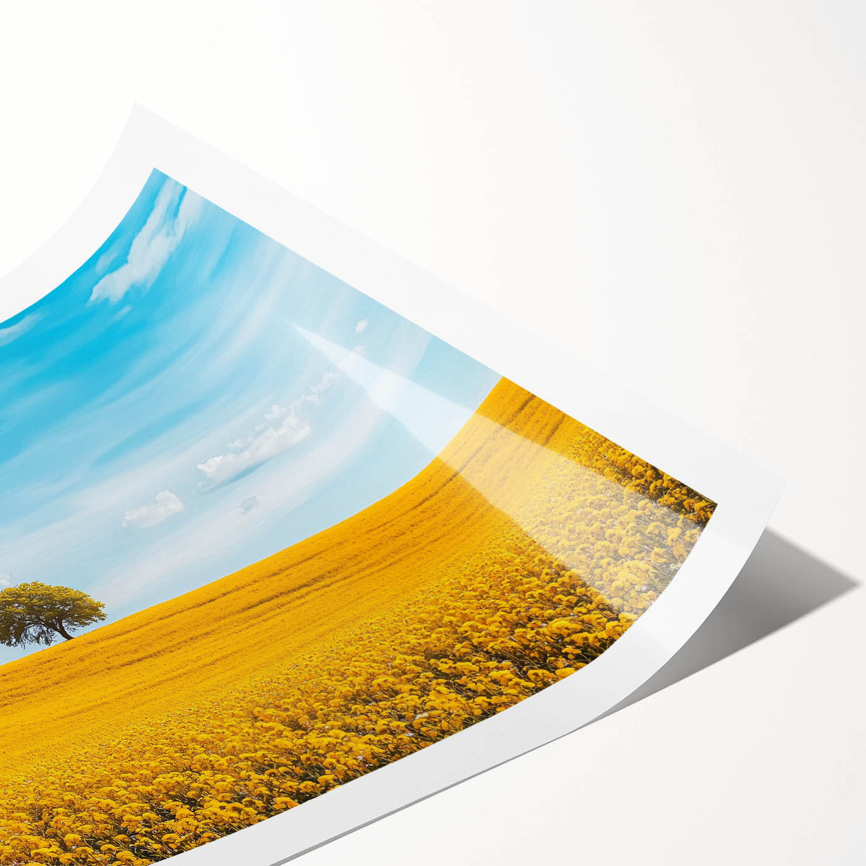 Rolled print showcasing a serene countryside landscape with vibrant green fields and a bright blue sky, elegantly packaged in a protective cardboard tube.