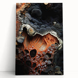 Black and white close-up photo of natural elements on stretched canvas, ideal for kitchen wall art or bedroom decor.