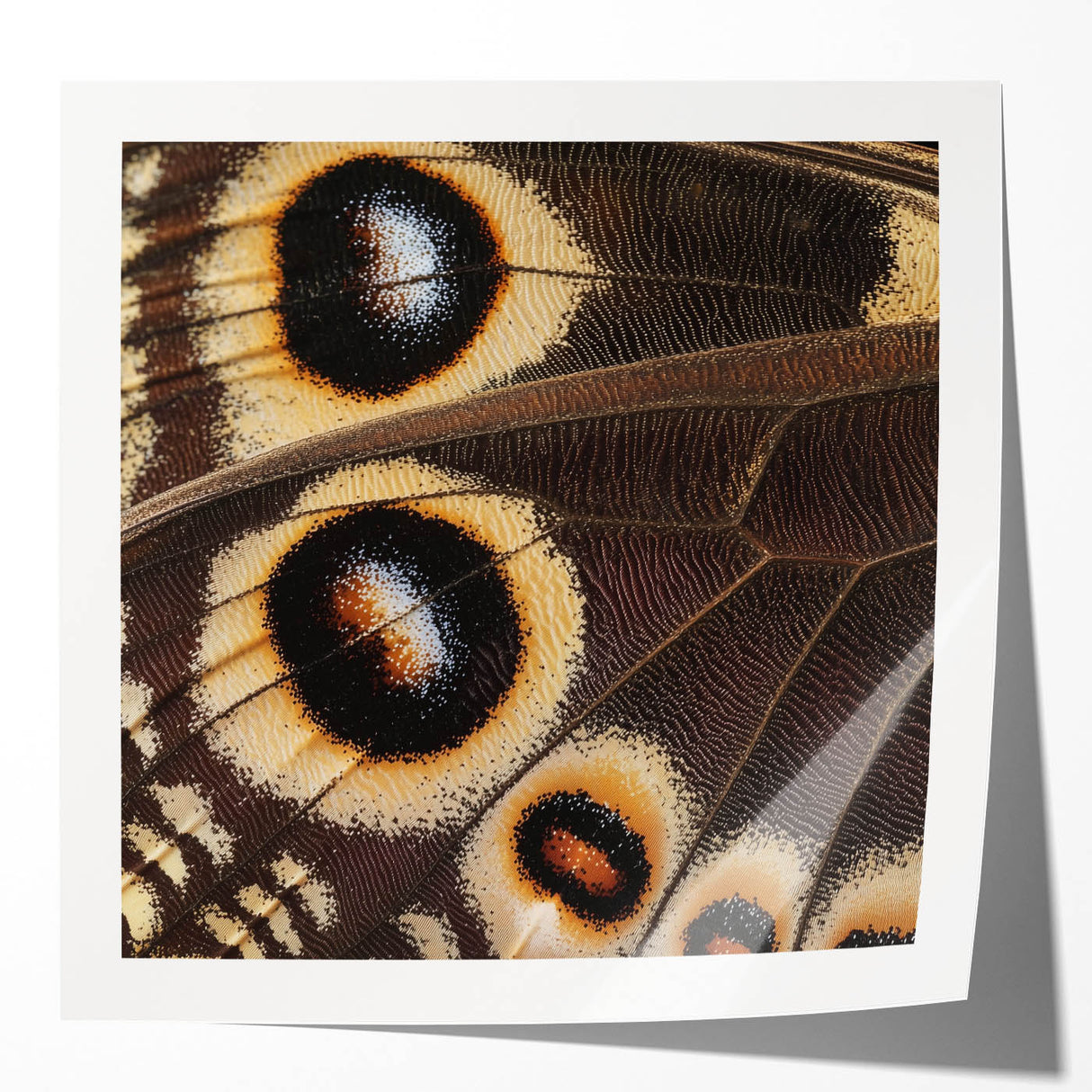 Extra large floral art on glossy canvas, featuring a detailed close-up of vibrant pink flowers.