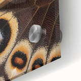 Large abstract wall art featuring close-up of an animal in muted earth tones on acrylic glass.