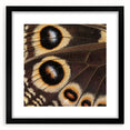 Extra large abstract art print featuring textured, colorful wildlife imagery on a black framed canvas.