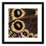 Extra large abstract art print featuring textured, colorful wildlife imagery on a black framed canvas.