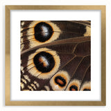 Extra large abstract art print featuring textured swirls in earth tones on a framed canvas, ideal for living room decor.