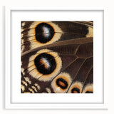 Abstract art print of a zebra in monochrome shades, framed in white, ideal for bedroom or dining room decor.