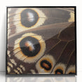 Large abstract wall art featuring a close-up of an animal in black and white, framed in acrylic.