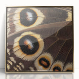 Large art print of a gold-framed acrylic featuring close-up animal imagery.
