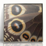 Mid-century modernist art of a silver-framed acrylic print featuring a close-up of an animal in muted earth tones.