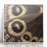 Framed acrylic print of a close-up animal illustration in art deco style, ideal for modern nursery wall decor.