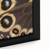 Close-up of a zebra on a textured, black canvas with vibrant color accents, ideal for living room decor.