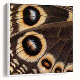 Vintage poster art featuring a close-up of a colorful butterfly on a black background, framed canvas.