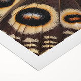 Art Deco poster featuring a close-up of a zebra on rolled canvas, using grayscale tones, ideal for dining room wall art.