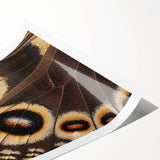 Extra large wall art featuring line art flowers in black on white, rolled print format, ideal for large living room decor.