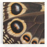 Large black and white photo of an elephant on stretched canvas, ideal for kitchen wall art.