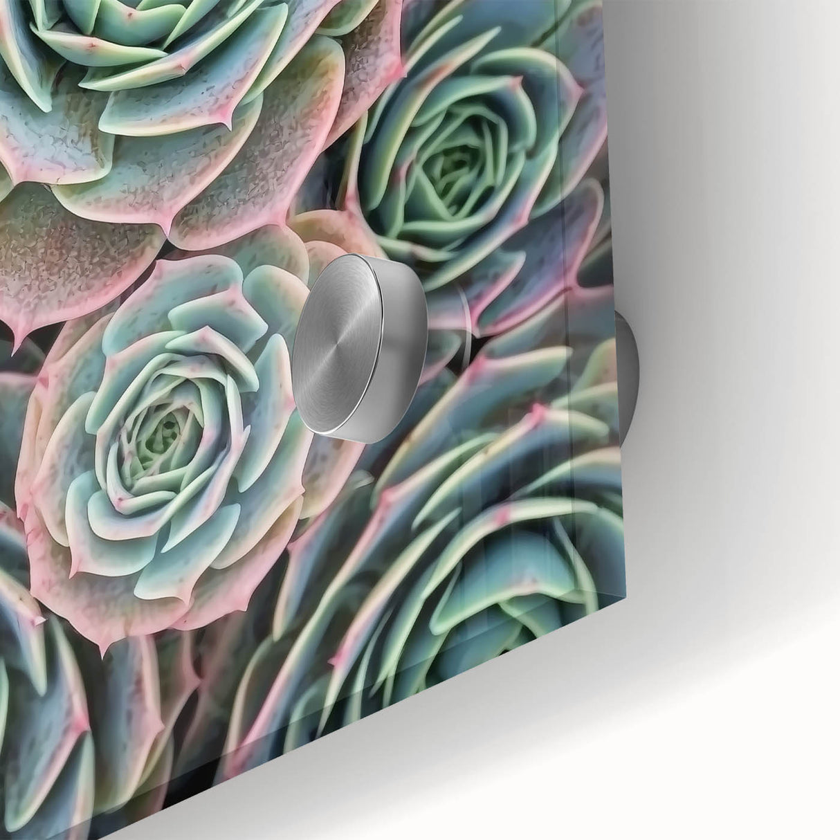 Large abstract floral print in vibrant hues on acrylic glass, ideal for dining room art in a mid-century modernist style.