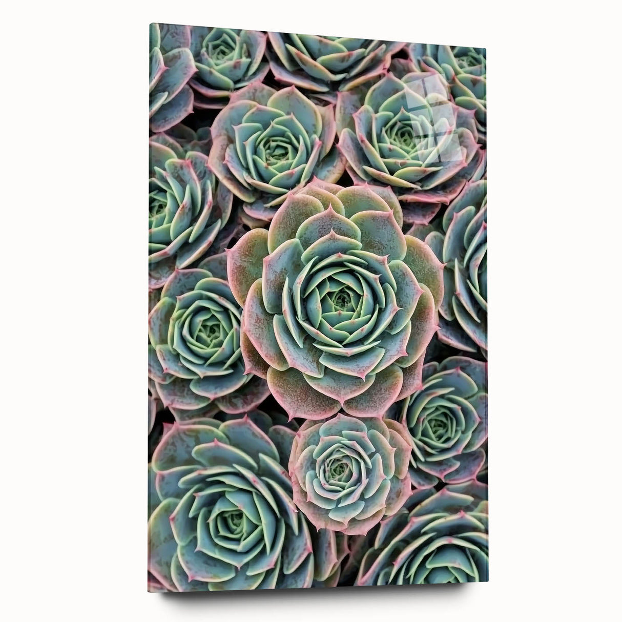 Large abstract floral art in vibrant orange and yellow tones on acrylic glass.