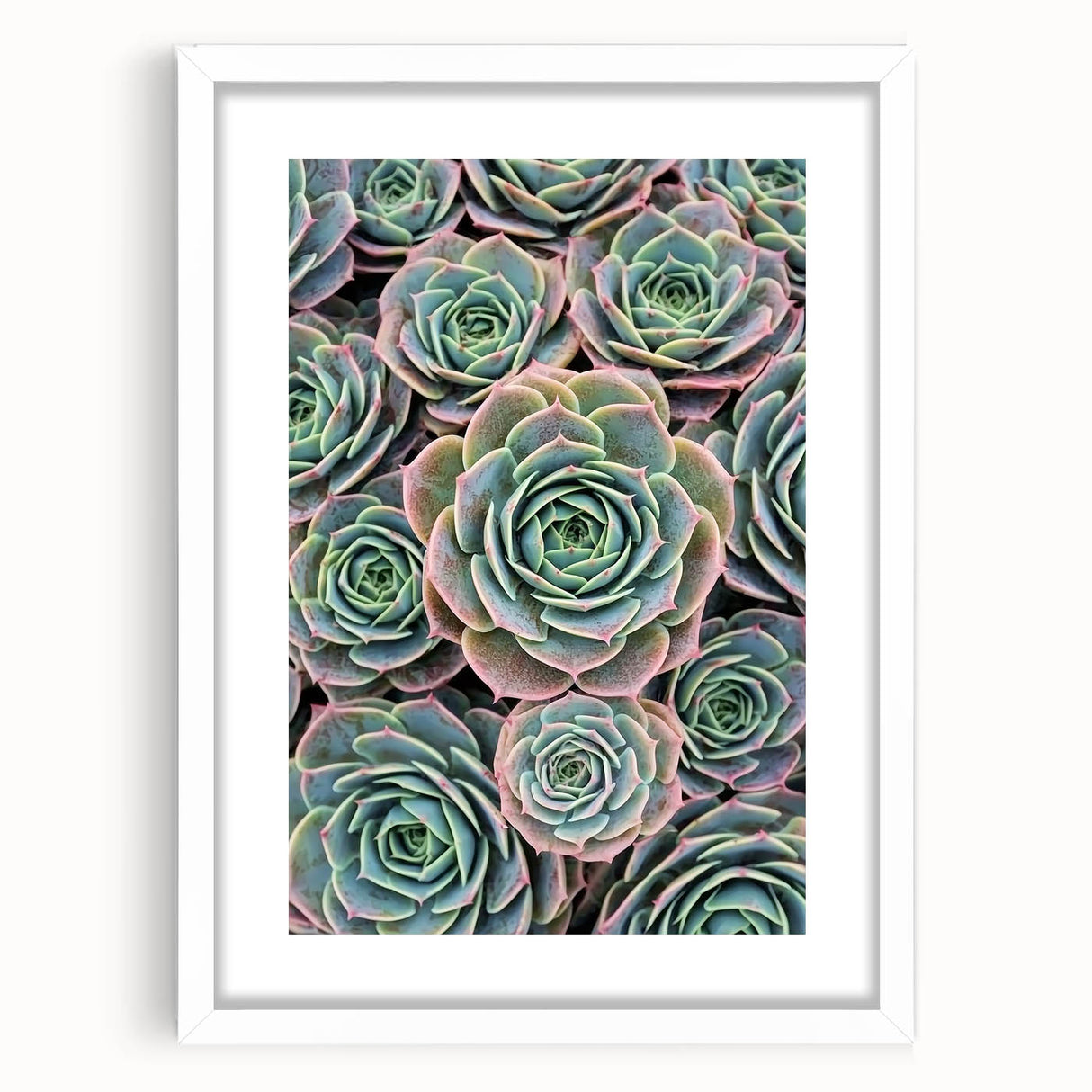 Abstract art print featuring close-up floral designs in soft pastel shades on a white framed mat.