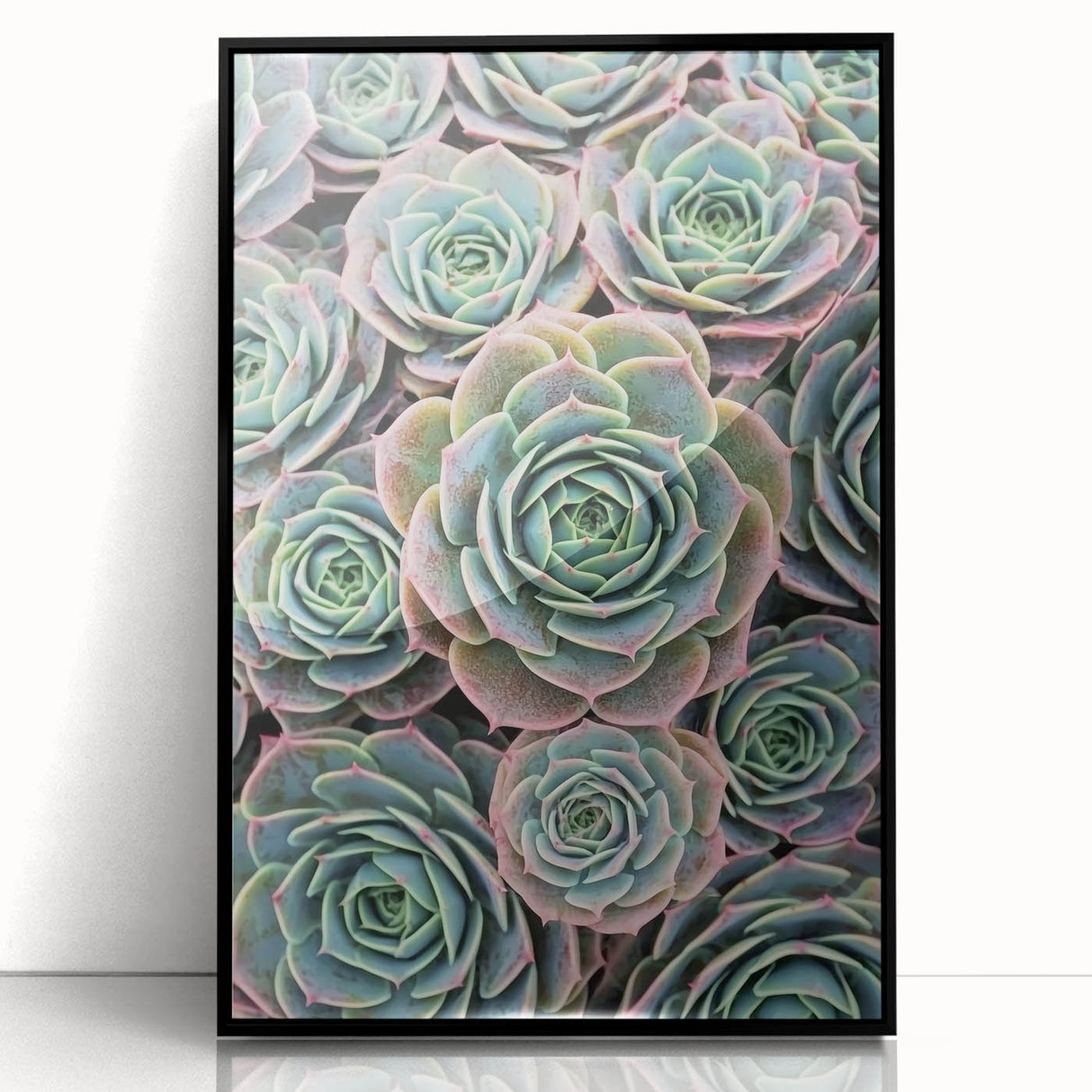 Large abstract wall art featuring close-up floral patterns in vibrant colors on a framed acrylic.