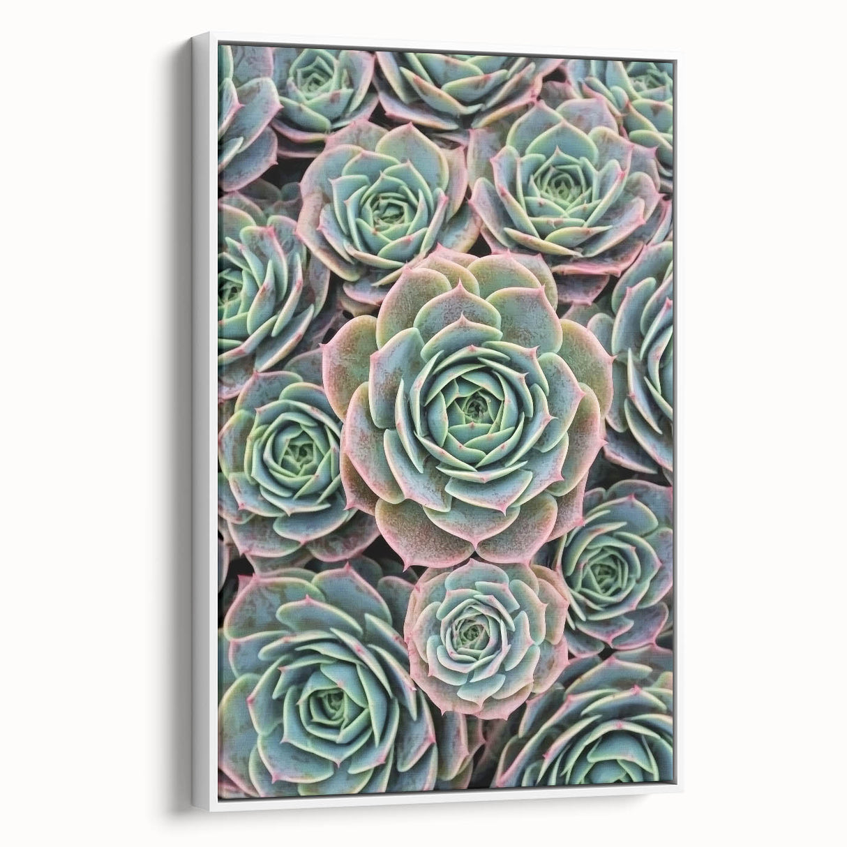 Extra large vintage poster art of colorful florals on a black background, framed canvas, ideal for living room decor.