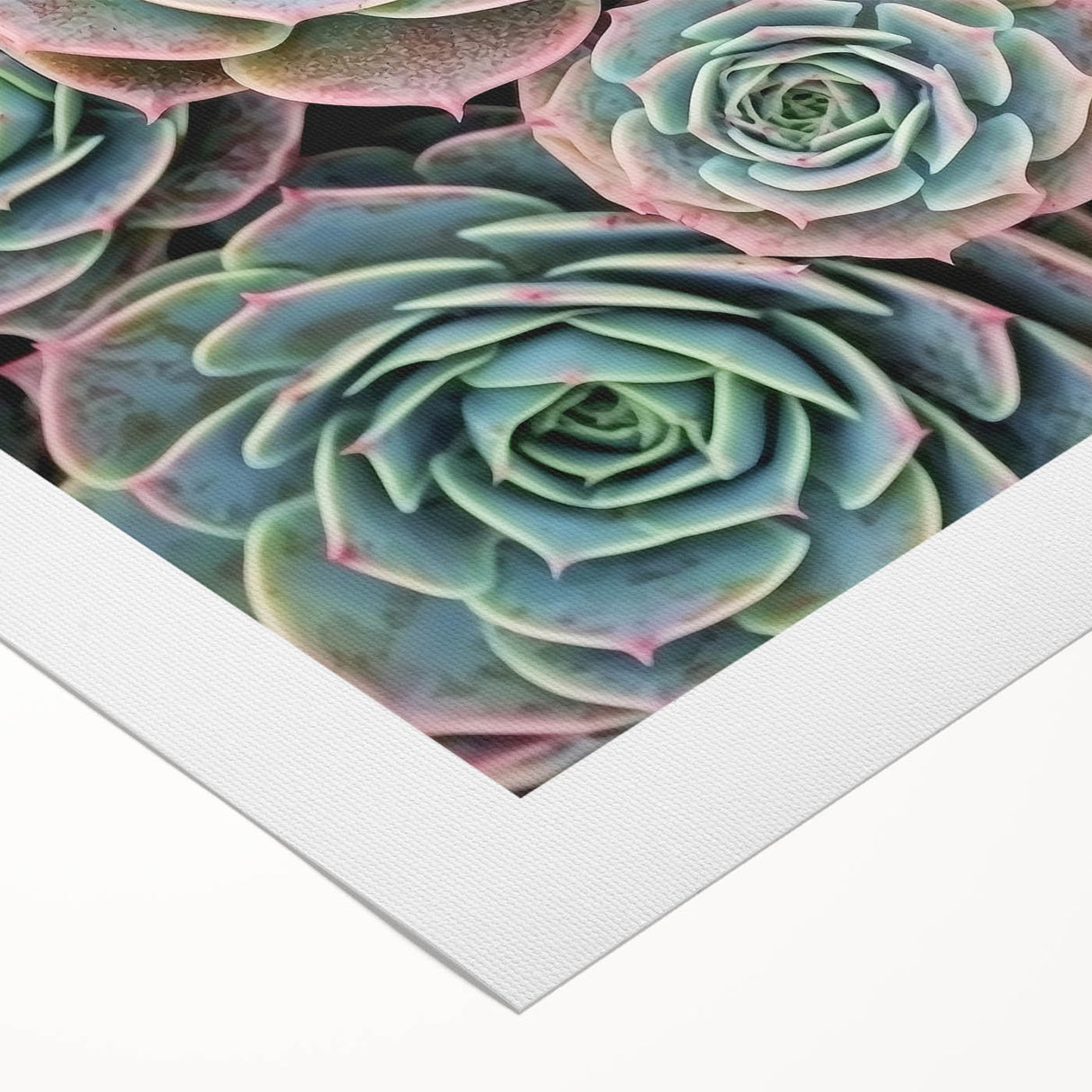 Art deco floral poster in pastel shades on rolled canvas, suitable for dining room or bathroom wall art.