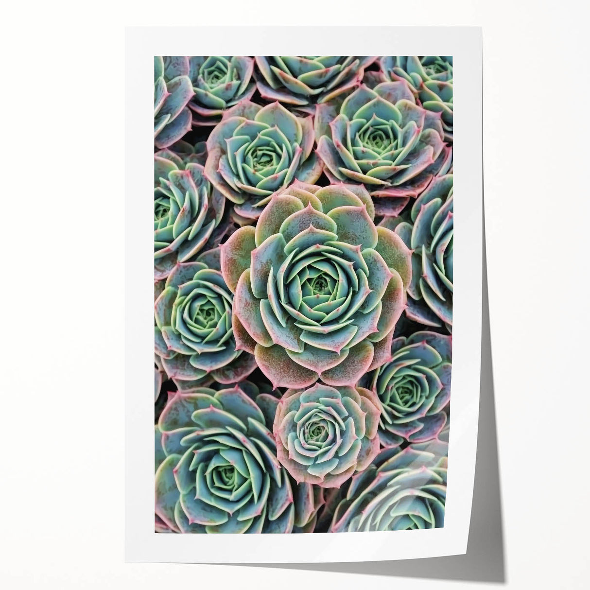 Close-up floral art on rolled print featuring vibrant pink and green tones, suitable for dining room or bathroom wall decor.