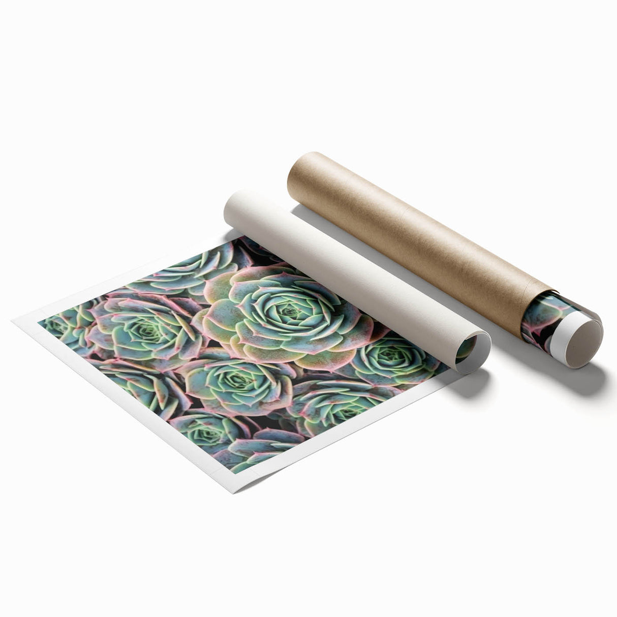Extra large rolled print featuring close-up floral art in vibrant colors.