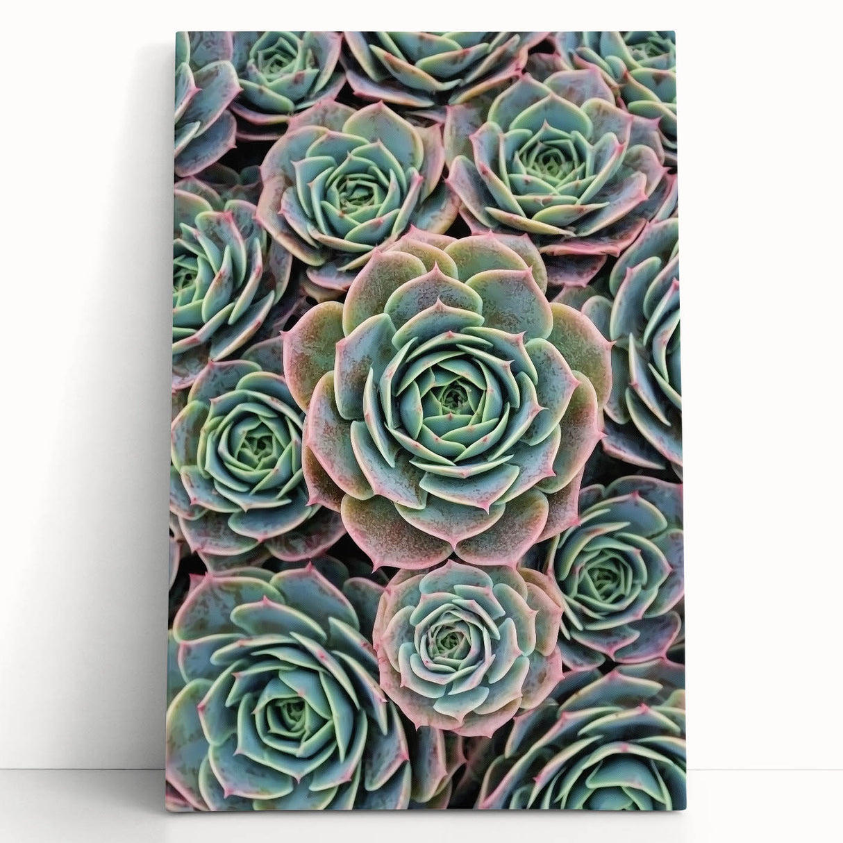 Black and white floral close-up on stretched canvas, suitable as large kitchen wall art or for bedroom ambiance.