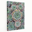 Close-up floral print on stretched canvas, featuring vibrant hues of pink and green, suitable for kitchen wall art.
