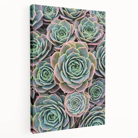 Close-up floral print on stretched canvas, featuring vibrant hues of pink and green, suitable for kitchen wall art.