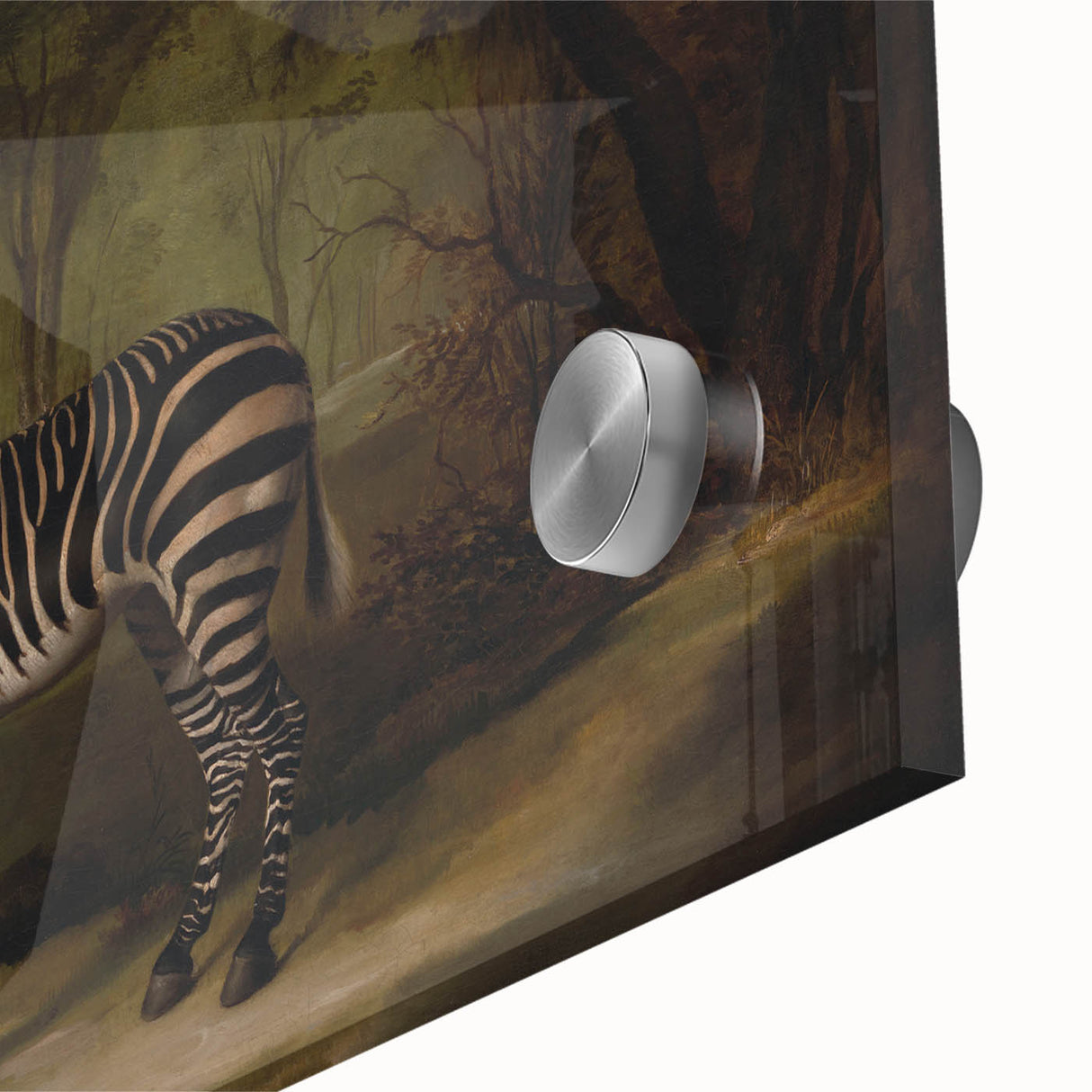 Realism Wildlife Art Print | Zebra in Forest by George Stubbs | Fine Decor