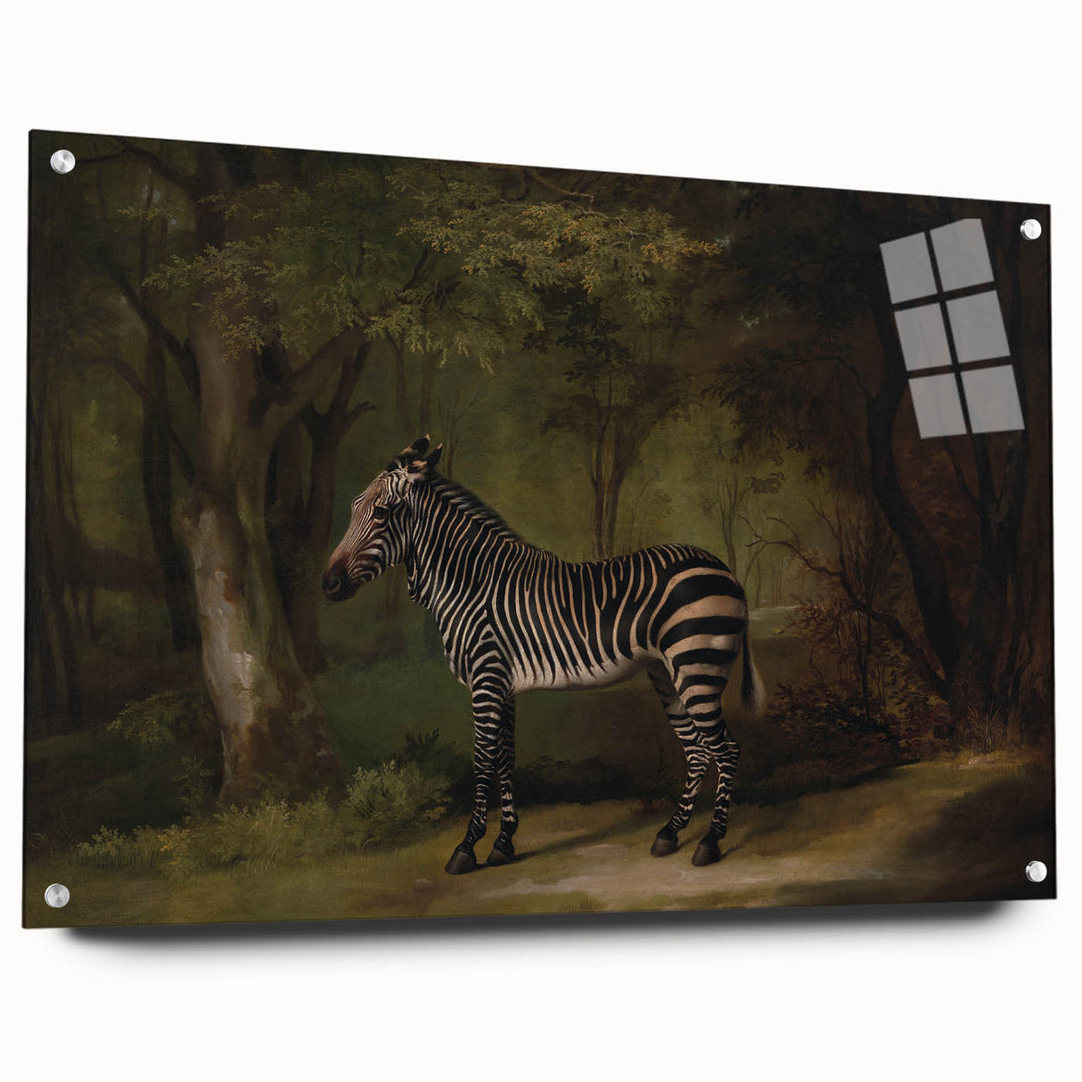 Realism Wildlife Art Print | Zebra in Forest by George Stubbs | Fine Decor