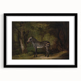 Realism Wildlife Art Print | Zebra in Forest by George Stubbs | Fine Decor