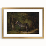 Realism Wildlife Art Print | Zebra in Forest by George Stubbs | Fine Decor