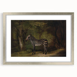 Realism Wildlife Art Print | Zebra in Forest by George Stubbs | Fine Decor
