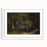 Realism Wildlife Art Print | Zebra in Forest by George Stubbs | Fine Decor