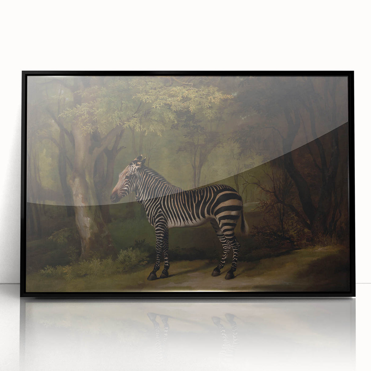 Realism Wildlife Art Print | Zebra in Forest by George Stubbs | Fine Decor