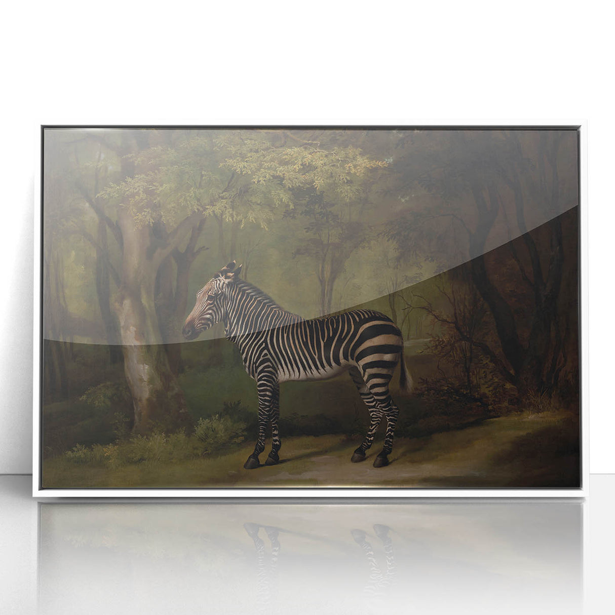 Realism Wildlife Art Print | Zebra in Forest by George Stubbs | Fine Decor