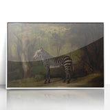 Realism Wildlife Art Print | Zebra in Forest by George Stubbs | Fine Decor
