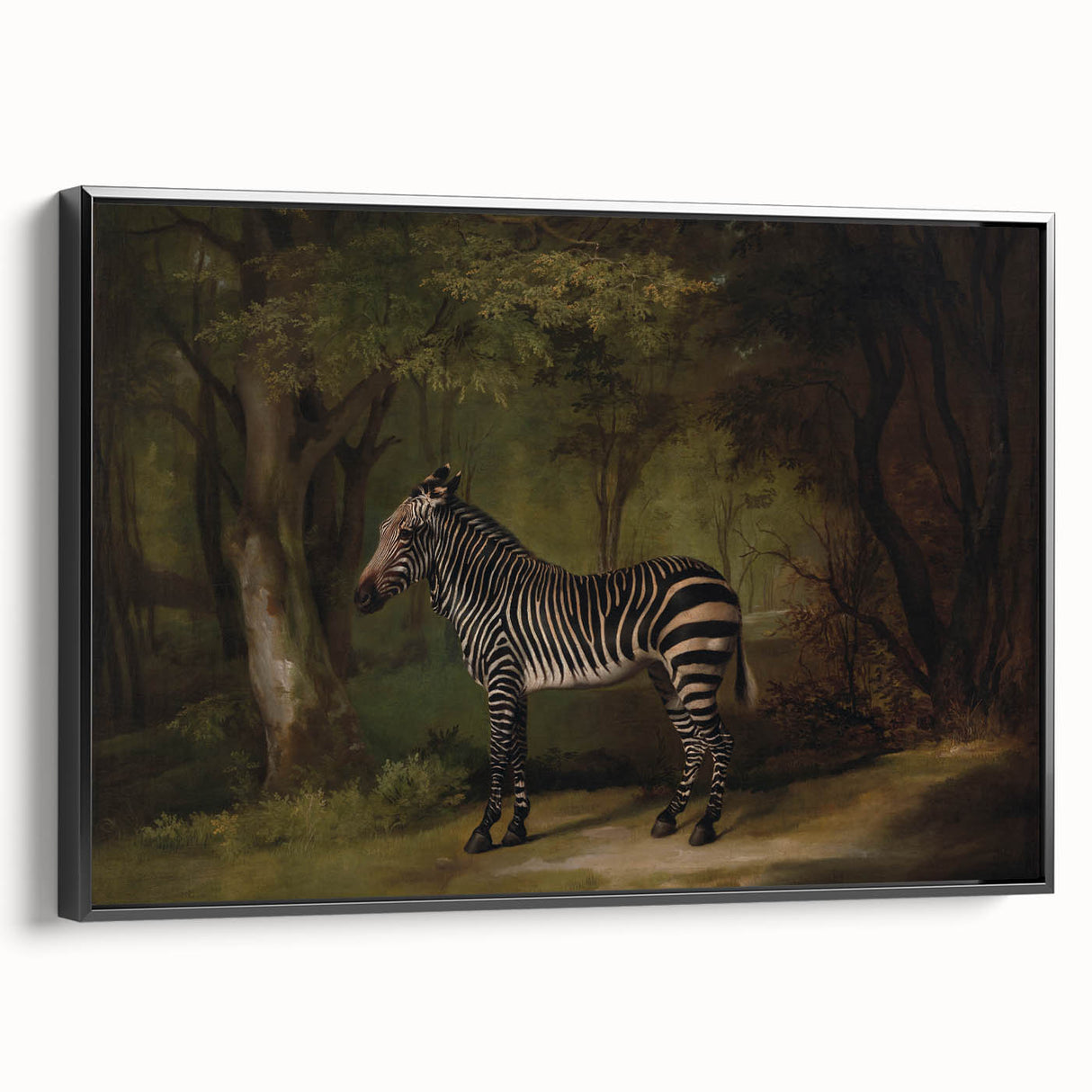 Realism Wildlife Art Print | Zebra in Forest by George Stubbs | Fine Decor
